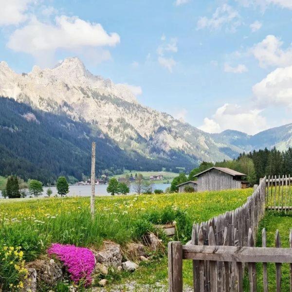 Braito'S Seaside Lodges Und Suites Haldensee Rum bild